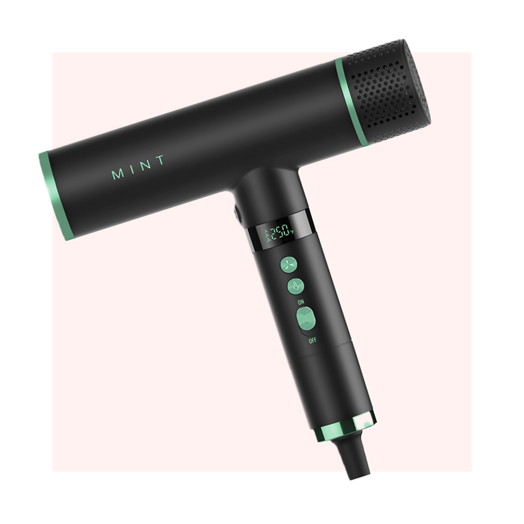 MINT Hummingbird Blow Dryer